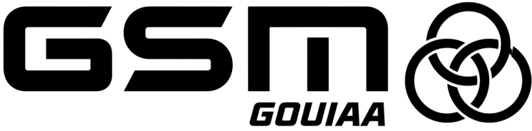 GSM logo
