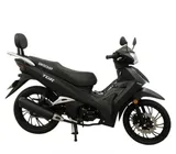 Uniscoot Tiger 125cc 2