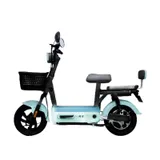 Ecoride Zen 600W 4
