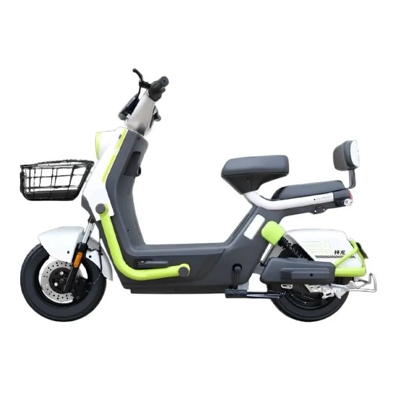 Ecoride Alpha 1000W