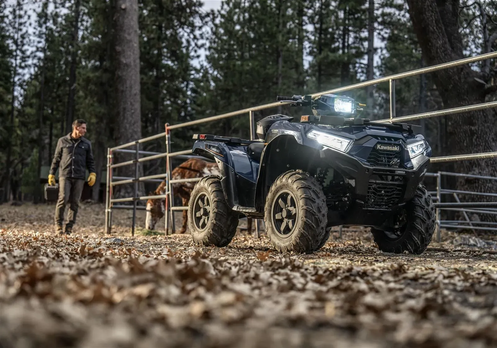 Kawasaki Brute Force 750 2