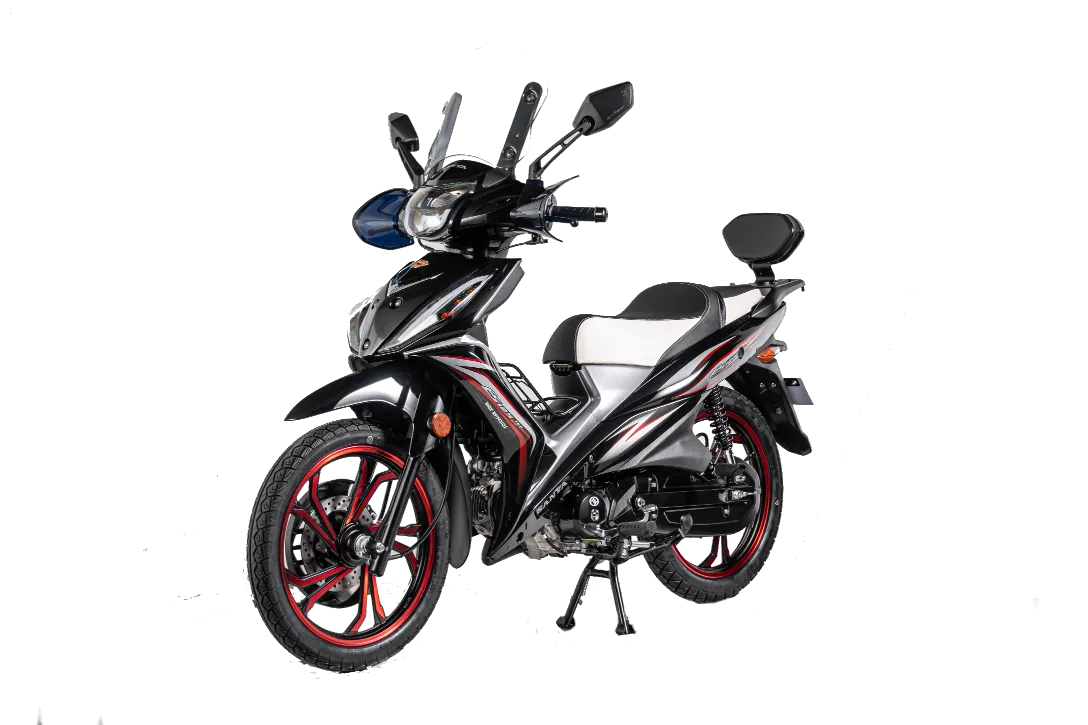 Sanya X1000 125cc 4