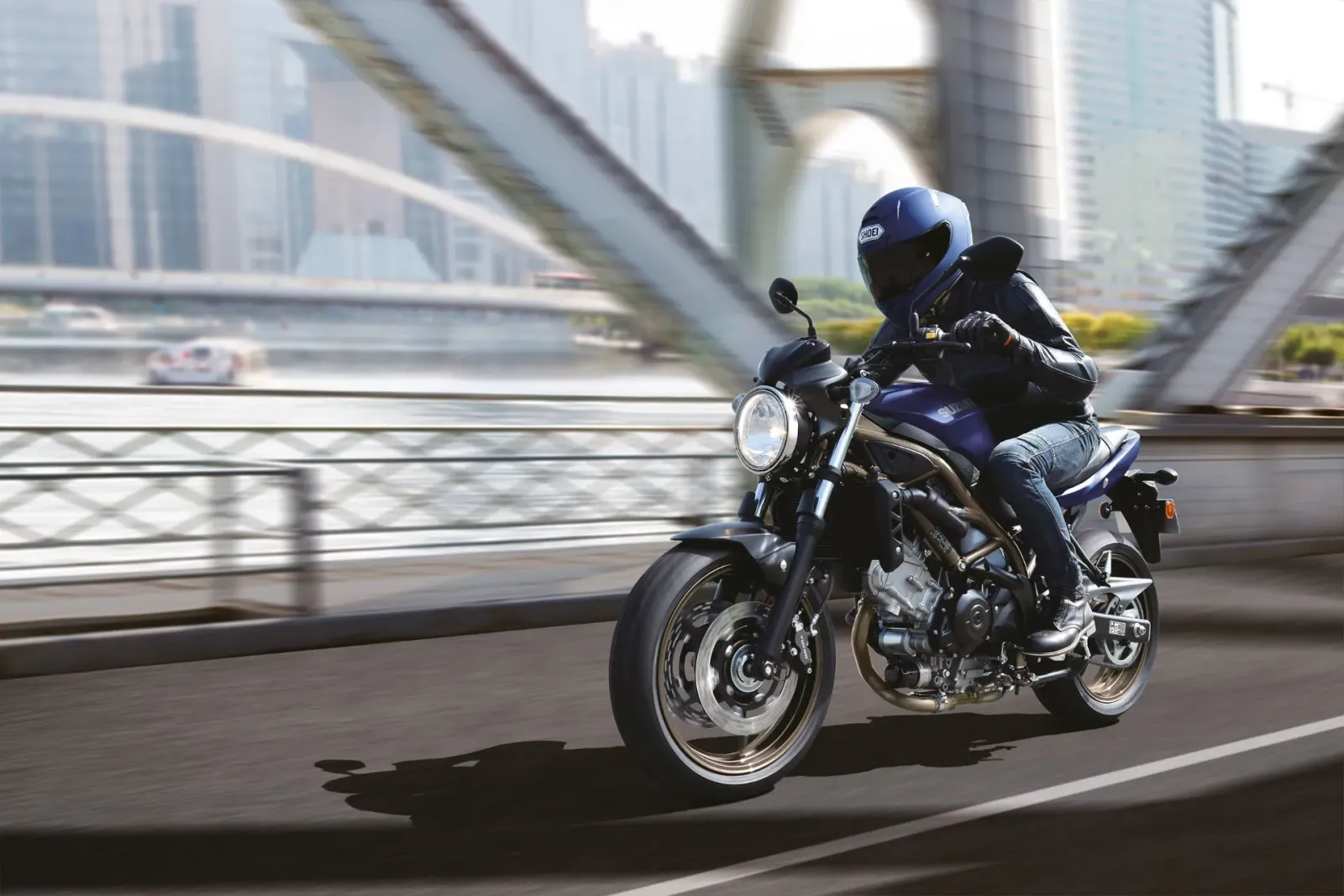 Suzuki SV650 5